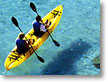 Adventures in Paradise - Sea Kayak & Snorkel Hawaii