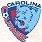 Carolina Courage