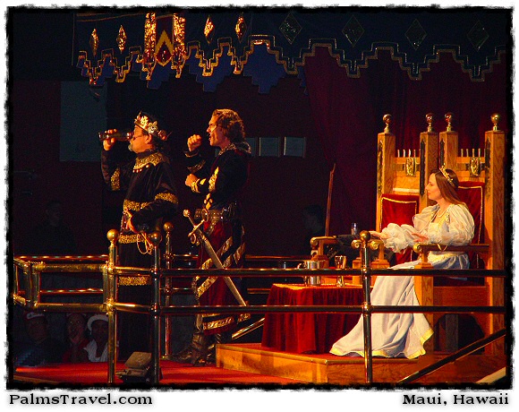  Medieval Times Dinner Show Photo 