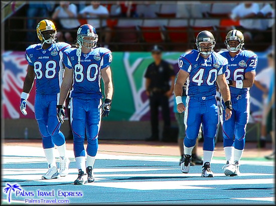  2003 NFL Pro Bowl 