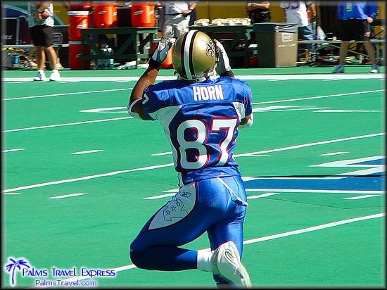  2003 NFL Pro Bowl 