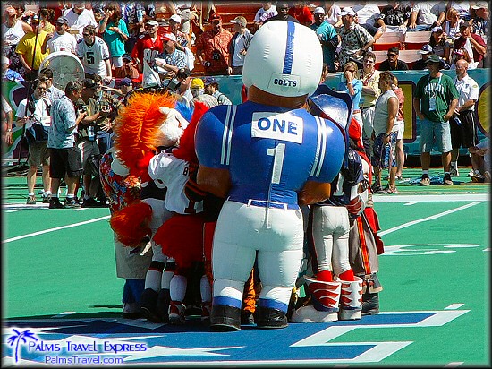 2003 NFL Pro Bowl 