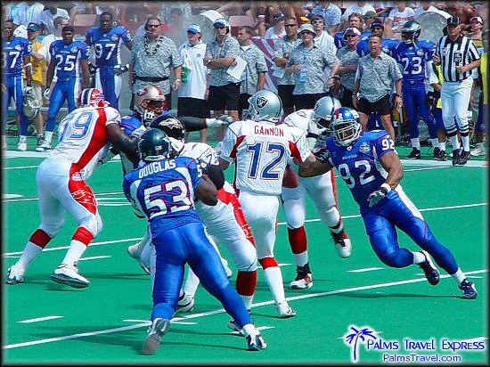  2003 NFL Pro Bowl 