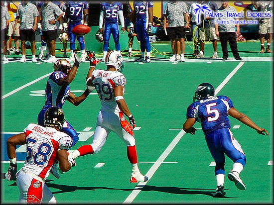  2003 NFL Pro Bowl 