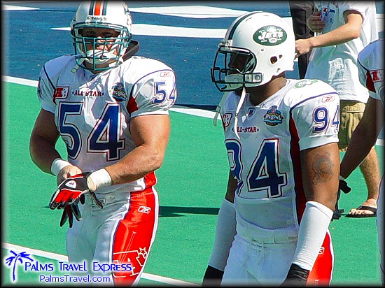  2003 NFL Pro Bowl 