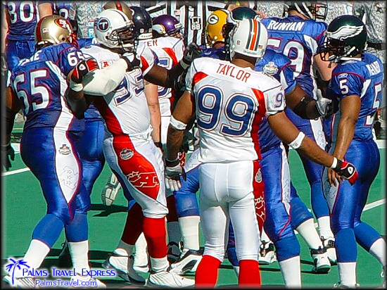  2003 NFL Pro Bowl 