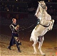  Medieval Times 