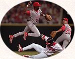 Baseball Tours with Palms Travel Express