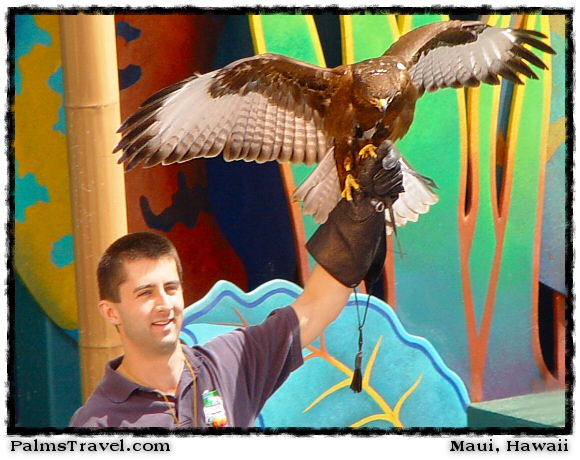  Universal Studios Hollywood 