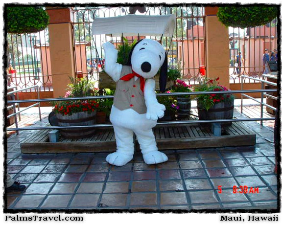  Snoopy At Knotts Berry Farm 