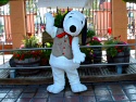  Knotts Berry Farm Theme Park 
