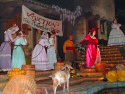  Click To View Pirates Of Caribbean Photo 