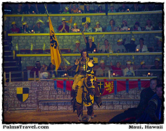  Medieval Times Dinner & Tournament 