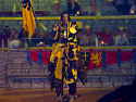  Horses & Knights Photo 