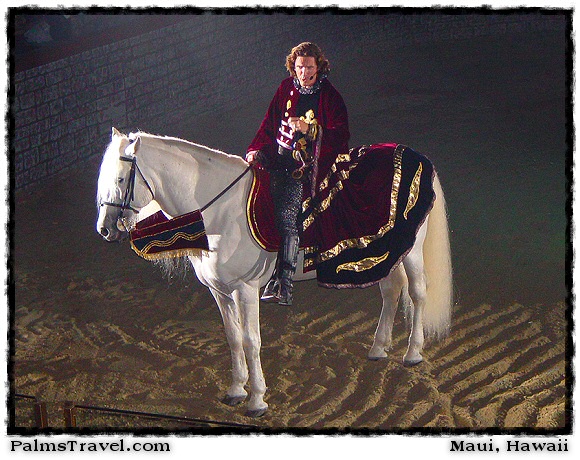  Medieval Times Dinner & Tournament 