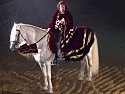  Horses & Knights Photo 
