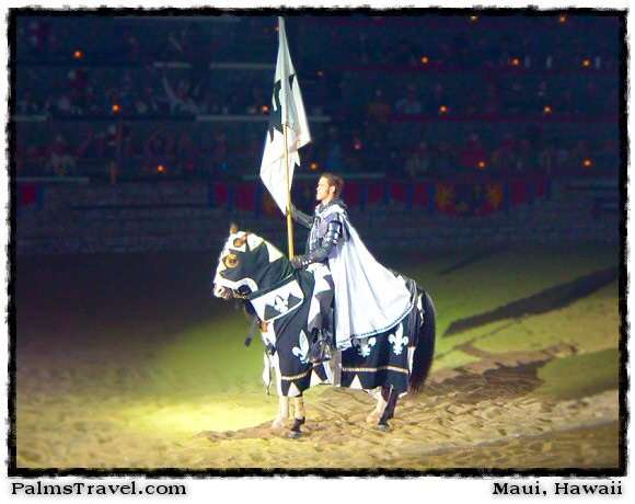  Medieval Times Dinner & Tournament 