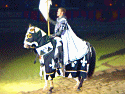  Horses & Knights Photo 