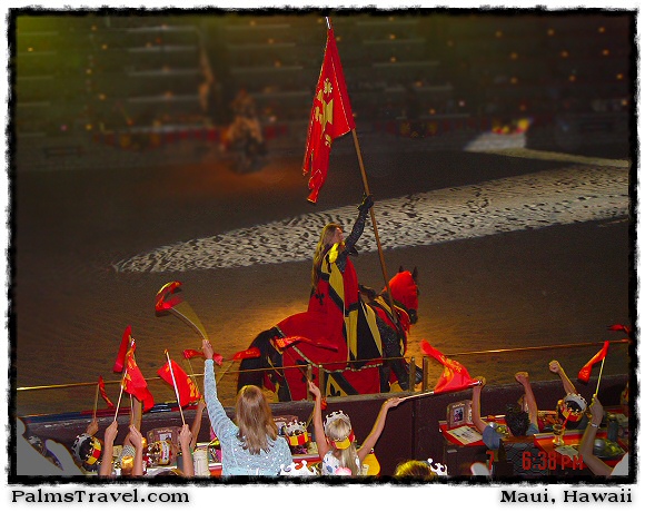  Medieval Times Dinner & Tournament 