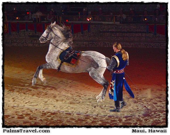  Medieval Times Knights & Horses Photo 