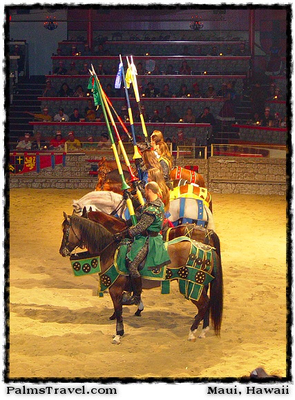 Medieval Times Dinner & Tournament 