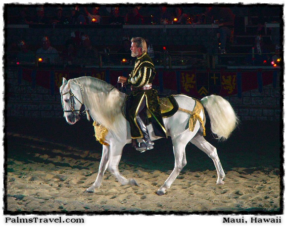  Medieval Times Knights & Horses Photo 