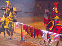  Horses & Knights Photo 