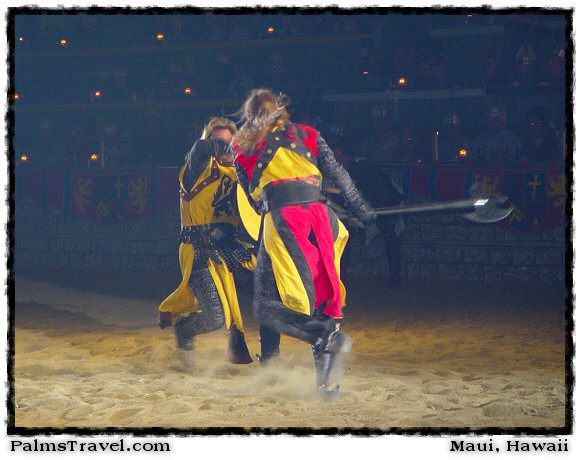  Medieval Times Knights & Horses Photo 