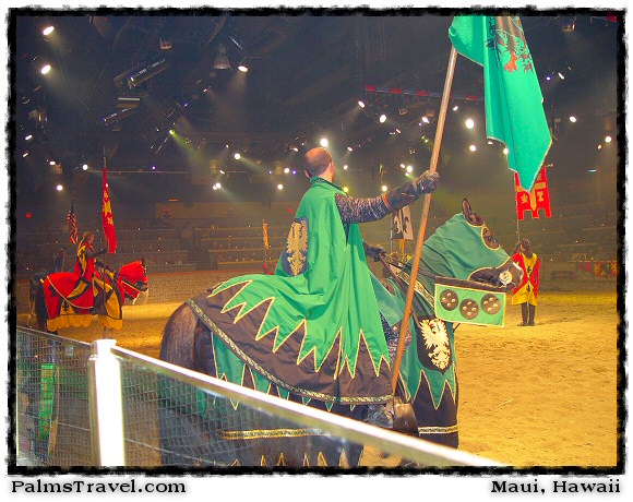  Medieval Times Knights & Horses Photo 
