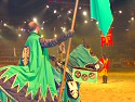 Horses & Knights Photo 