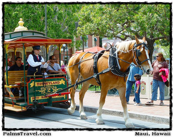  Disneyland 