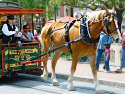  Click To View Disneyland Photo 