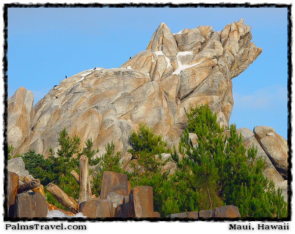  California Adventure Park 