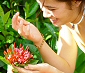 Cruise The Hawaiian Islands