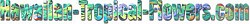 Hawaiian-Tropical-Flowers.com